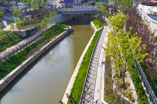 引河4.jpg