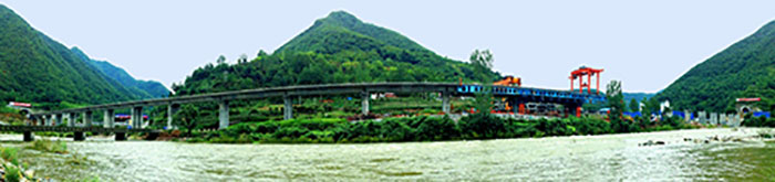 西成客专金水河特大桥全貌